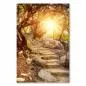 Preview: Verwunschener Pfad, märchenhafter Wald, Sonnenlicht durch Blätterdach. Preview: Verwunschener Pfad, märchenhafter Wald, Sonnenlicht durch Blätterdach.