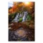 Preview: Wasserfall, moosbewachsene Felsen, herbstliche Blätter, Sonnenlicht. Preview: Wasserfall, moosbewachsene Felsen, herbstliche Blätter, Sonnenlicht.