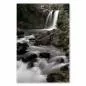 Preview: Idyllischer Wasserfall ergießt sich in smaragdgrünen See, umgeben von dichtem Wald, bietet Ruhe und Schönheit. Preview: Idyllischer Wasserfall ergießt sich in smaragdgrünen See, umgeben von dichtem Wald, bietet Ruhe und Schönheit.
