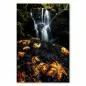 Preview: Wasserfall im Herbstwald, bunte Blätter, langes Belichtungszeit, weiches Wasser. Preview: Wasserfall im Herbstwald, bunte Blätter, langes Belichtungszeit, weiches Wasser.