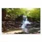 Preview: Ein idyllischer Wasserfall stürzt über Felsen in einen Teich – die Magie des Waldes in einem Bild. Preview: Ein idyllischer Wasserfall stürzt über Felsen in einen Teich – die Magie des Waldes in einem Bild.