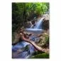 Preview: Kleiner Wasserfall ergießt sich über Felsen in klaren Pool, umgeben von üppigem Grün und Baumstamm. Preview: Kleiner Wasserfall ergießt sich über Felsen in klaren Pool, umgeben von üppigem Grün und Baumstamm.