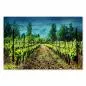 Preview: Grüne Rebenreihen im Weinberg versprechen köstlichen Weingenuss - ein Bild für alle Weinliebhaber. Preview: Grüne Rebenreihen im Weinberg versprechen köstlichen Weingenuss - ein Bild für alle Weinliebhaber.