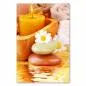 Preview: Massagesteine, Kamillenblüte, Duftkerze, Handtücher, Wellness-Atmosphäre. Preview: Massagesteine, Kamillenblüte, Duftkerze, Handtücher, Wellness-Atmosphäre.