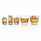 Preview: Fünf Gläser mit Whiskey & Eis zeigen die Vielfalt an Genuss & Präsentation. Preview: Fünf Gläser mit Whiskey & Eis zeigen die Vielfalt an Genuss & Präsentation.