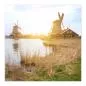 Preview: Holländische Windmühlen am Wasser, Sonnenuntergang - idyllische Landschaft. Preview: Holländische Windmühlen am Wasser, Sonnenuntergang - idyllische Landschaft.