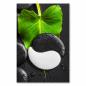 Preview: Das Yin und Yang Symbol auf einem Stein - ein Symbol für Harmonie und Balance.
