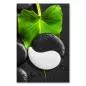 Preview: Das Yin und Yang Symbol auf einem Stein - ein Symbol für Harmonie und Balance.