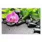 Preview: Entspannung: lila Orchidee, grüner Bambus und schwarze Steine - ein Zen-Garten der Ruhe. Preview: Entspannung: lila Orchidee, grüner Bambus und schwarze Steine - ein Zen-Garten der Ruhe.