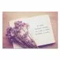 Preview: Notizbuch mit dem Zitat "A room without books is like a body without a soul." und einem Strauß lilafarbener Trockenblumen. Preview: Notizbuch mit dem Zitat "A room without books is like a body without a soul." und einem Strauß lilafarbener Trockenblumen.
