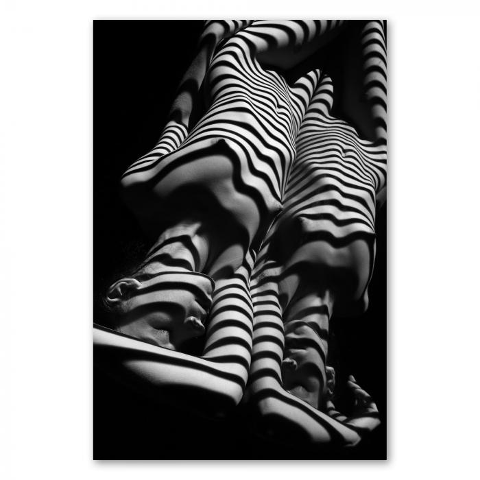 Preview: Abstrakte Aktfotografie: Licht & Schatten | Postereck 0842