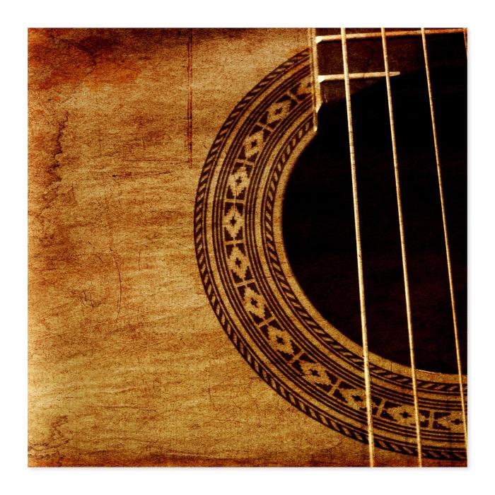 Preview: Akustikgitarre: Vintage & Nahaufnahme | Postereck 0673