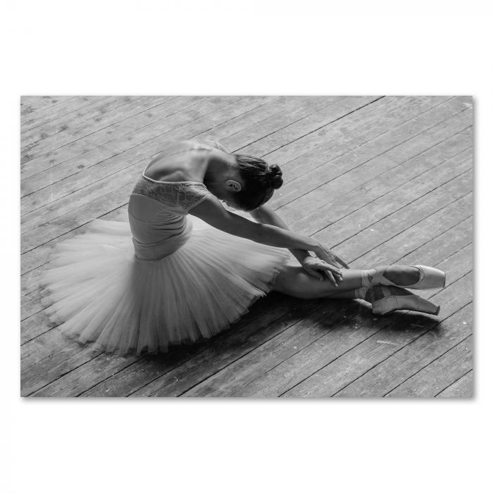 Preview: Ballerina: Entspannung & Tutu | Postereck 0875