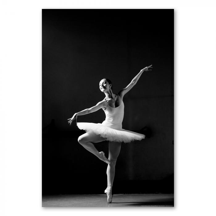 Preview: Eleganz in Schwarzweiß: Anmutige Ballerina | Postereck 0012