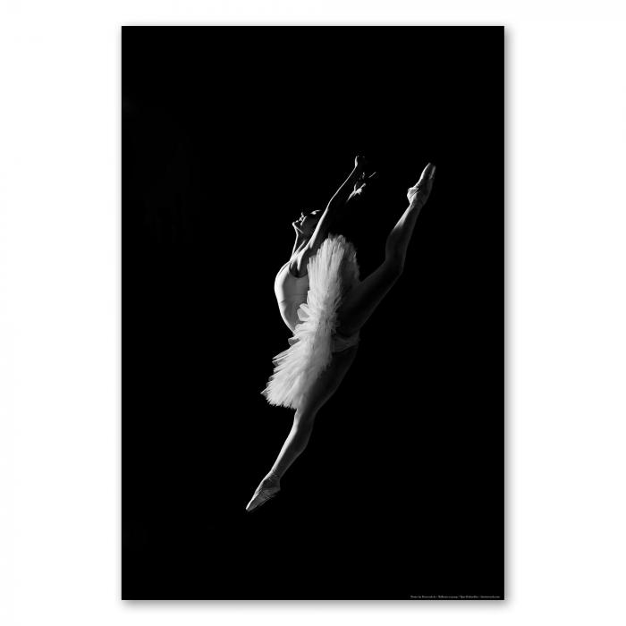 Preview: Im Flug: Dynamischer Sprung einer Ballerina | Postereck 0016