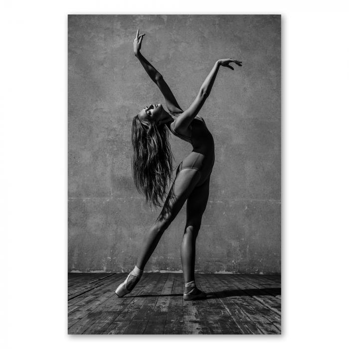 Preview: Ballerina: Leidenschaft & Dynamik | Postereck 0874