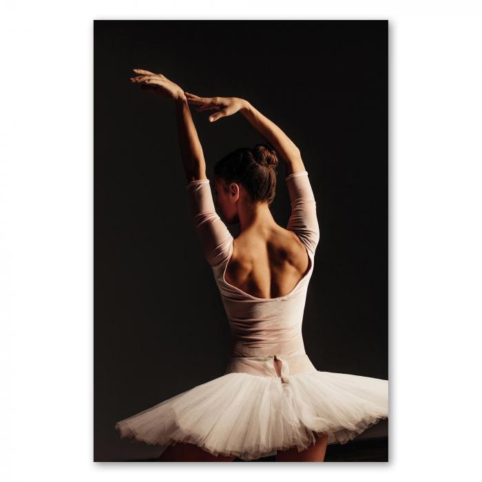 Preview: Anmutige Ballerina | Postereck 2384