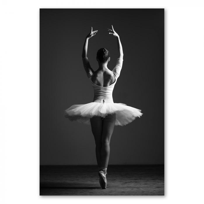 Preview: Ballerina im Tutu | Postereck 1219