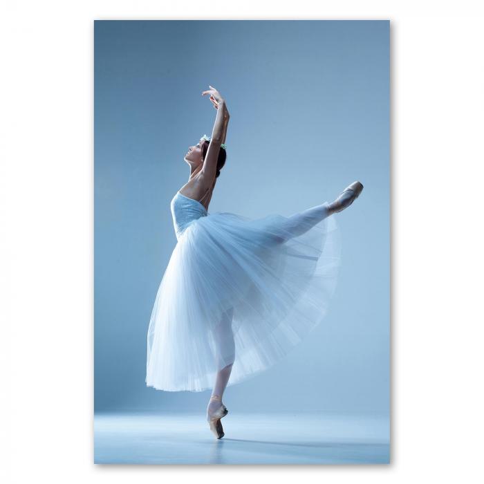 Preview: Anmut und Grazie: Balletttänzerin | Postereck 1009