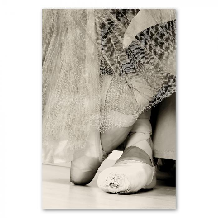 Preview: Spitzenleistung: Abgenutzte Ballettschuhe | Postereck 0015