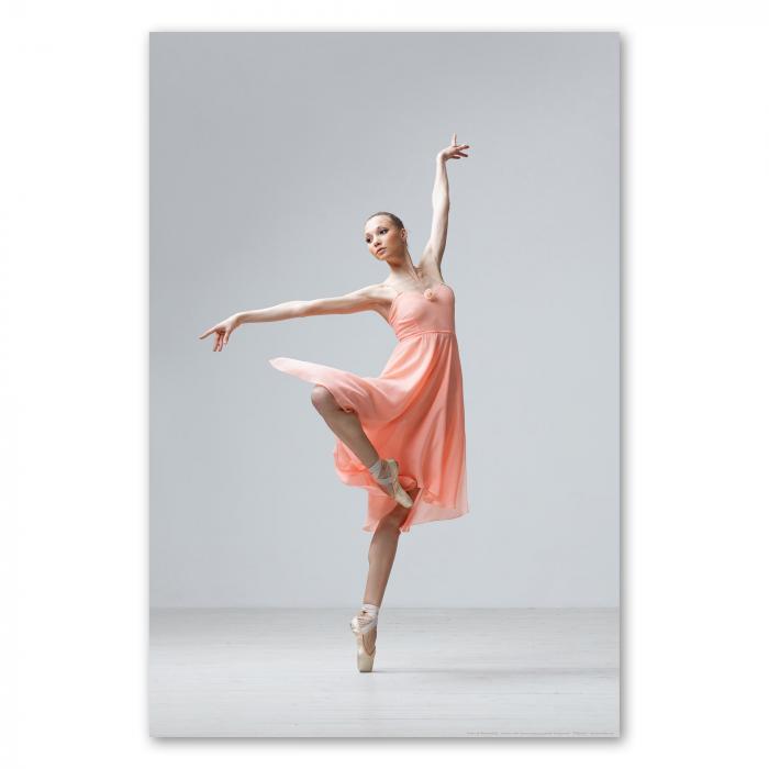 Preview: Anmut & Eleganz: Balletttänzerin in Pose | Postereck 0194