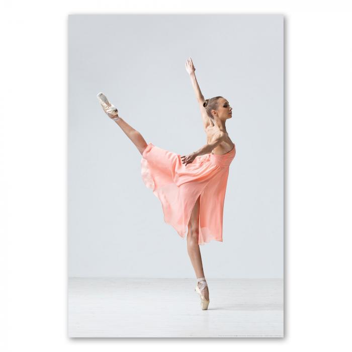 Preview:  Balletttänzerin: Eleganz & Anmut | Postereck 0421