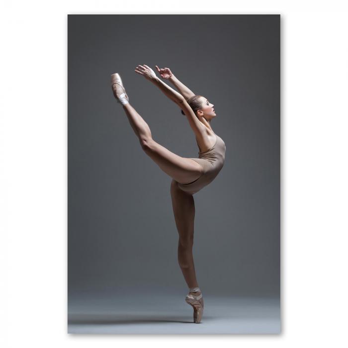 Preview: Balletttänzerin: Anmut & Grazie | Postereck 0807