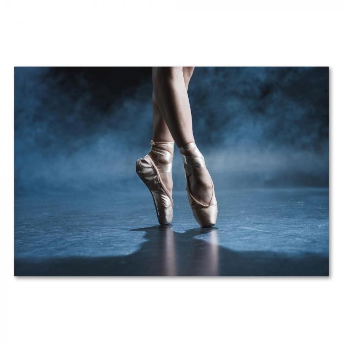 Preview: Ballerina Füße | Postereck 2699