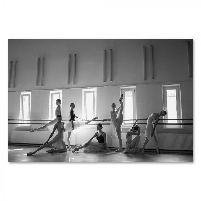Preview: Eleganz im Ballettsaal | Postereck 1051