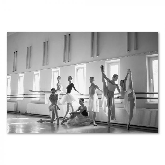 Preview: Anmut und Disziplin | Postereck 1050