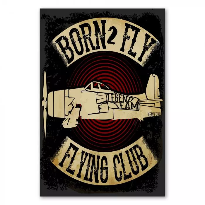 Ein Flugzeug im Vintage-Stil. Das Design trägt die Schriftzüge "Born 2 Fly" und "Flying Club".