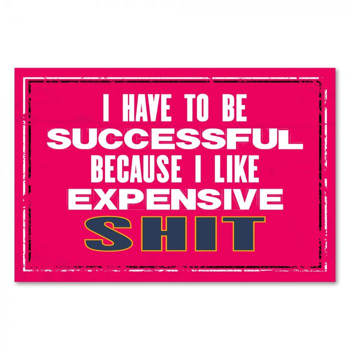 Preview: Erfolg & Luxus: "Ich mag teure Dinge..." | Postereck 0891