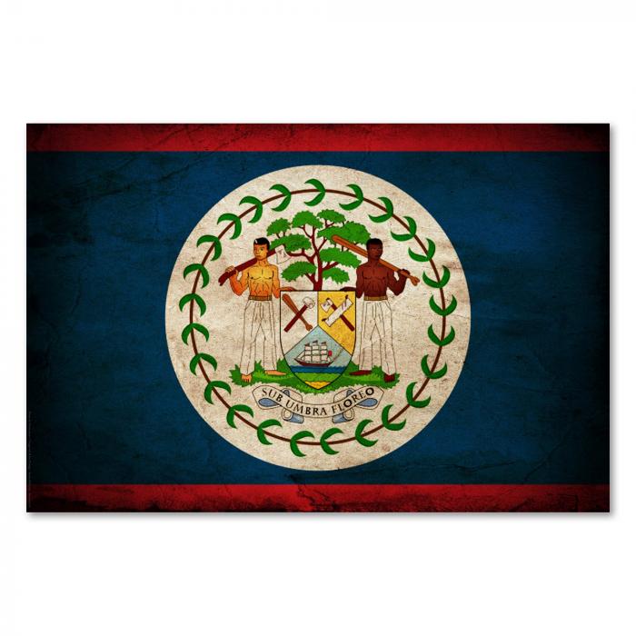 Preview:  Belize: Vintage Flagge & Holzwirtschaft | Postereck 0343