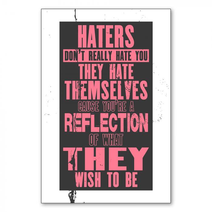 Preview: Hater hassen sich selbst | Postereck 1152