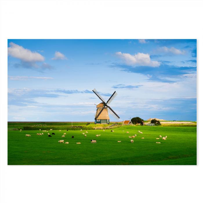Windmühle, grüner Deich, Schafherde auf Wiese, blauer Himmel & Wolken.
