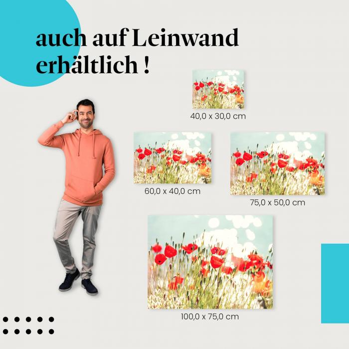 Mohnblumen: Leinwandbild. Rot, See, Sonne.