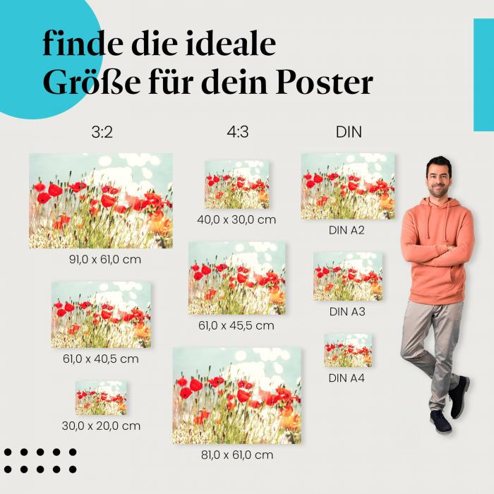 Mohnblumen, Poster: Rot, See, Sonne.