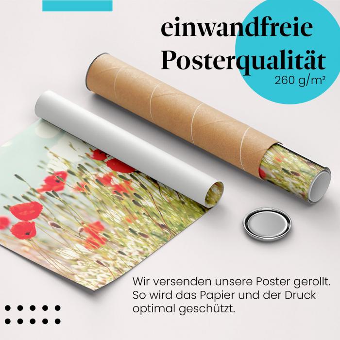 Gerolltes Poster "Mohnblumen am See". Blumenpracht & Natur, sicher verpackt.