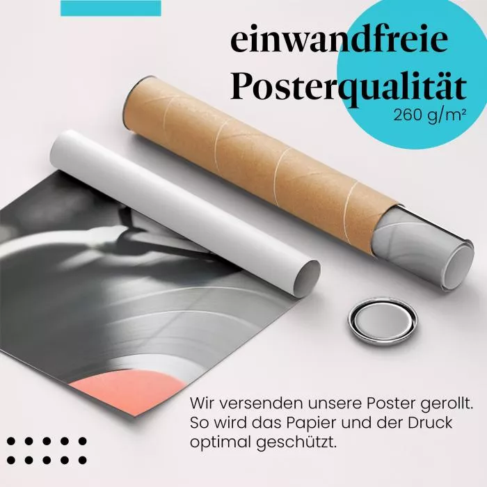 Schallplattenspieler | Postereck 3864