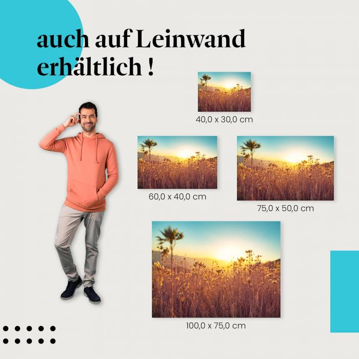 Gräser: Leinwandbild. Sonnenuntergang, warmes Licht.