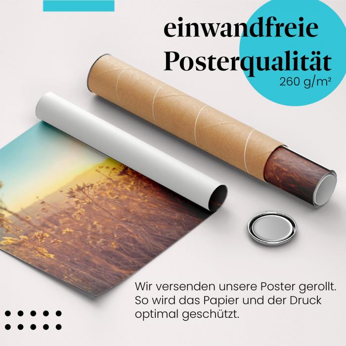 Gerolltes Poster "Gräser & Sonne". Stimmungsvolles Motiv, sicher verpackt.