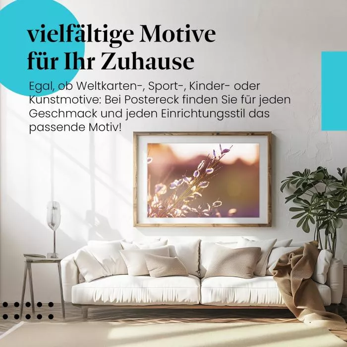 Samenkapseln im Abendlicht | Postereck 3364