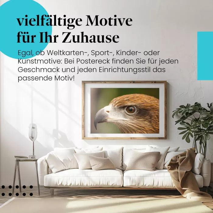 Adlerportrait | Postereck 3246