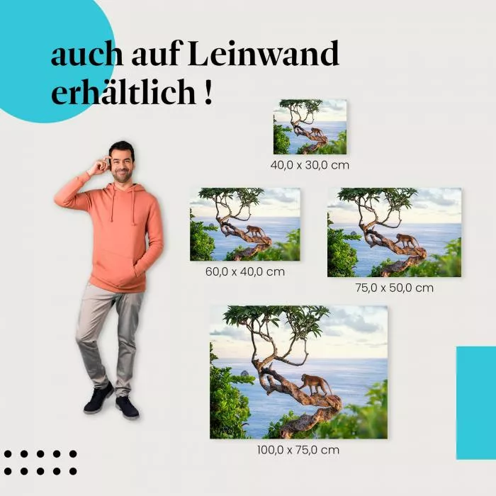 Affe am Meer | Postereck 3816