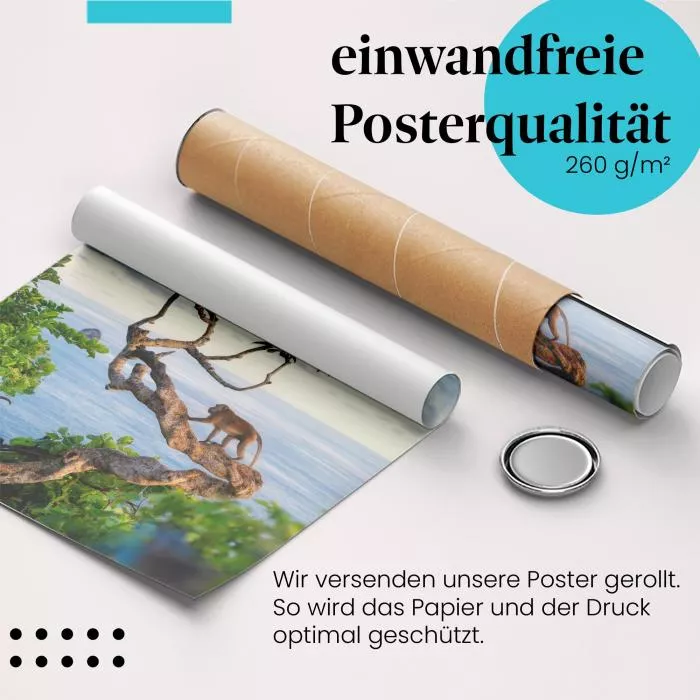 Affe am Meer | Postereck 3211