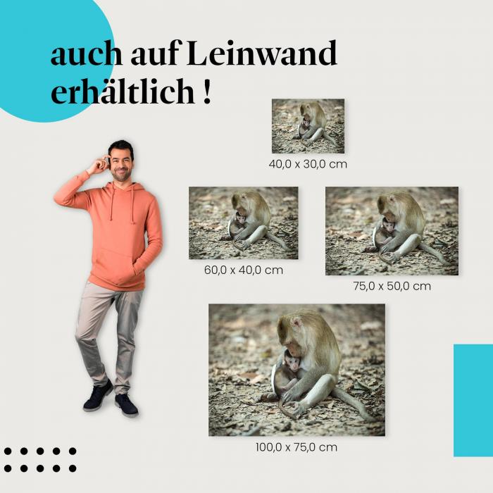 "Affenmutter und Baby" Leinwandbild: In verschiedenen Grössen erhältlich, finde deine!