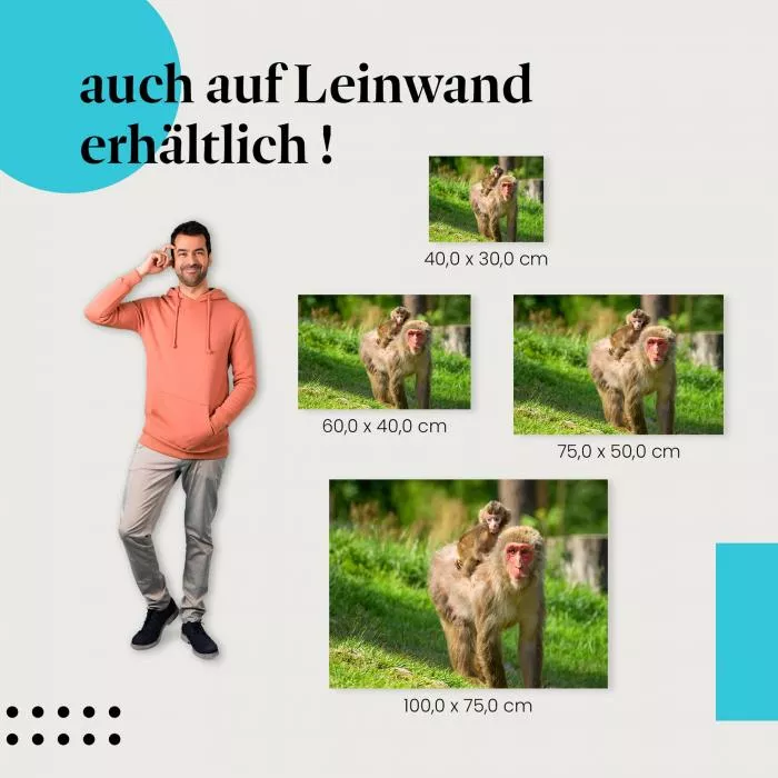 Makakenmutter und Kind | Postereck 2802