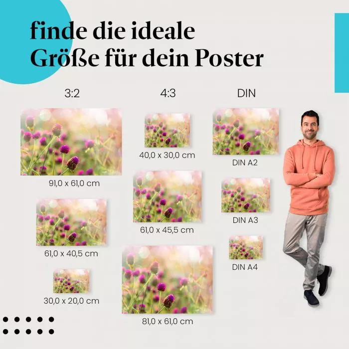 Lila Blütenmeer | Postereck 2834