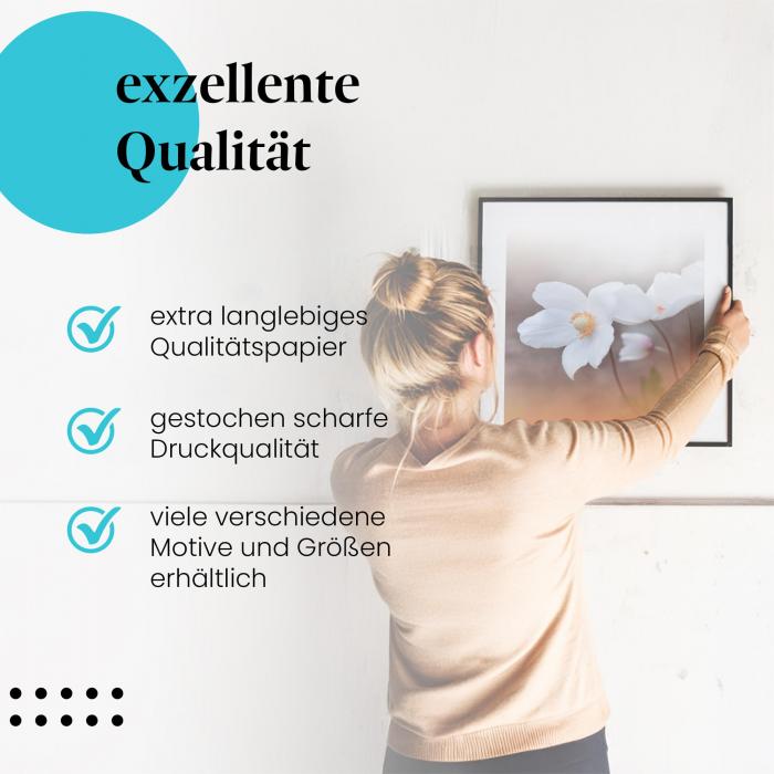 Preview: Anemonenblüten | Postereck 4027