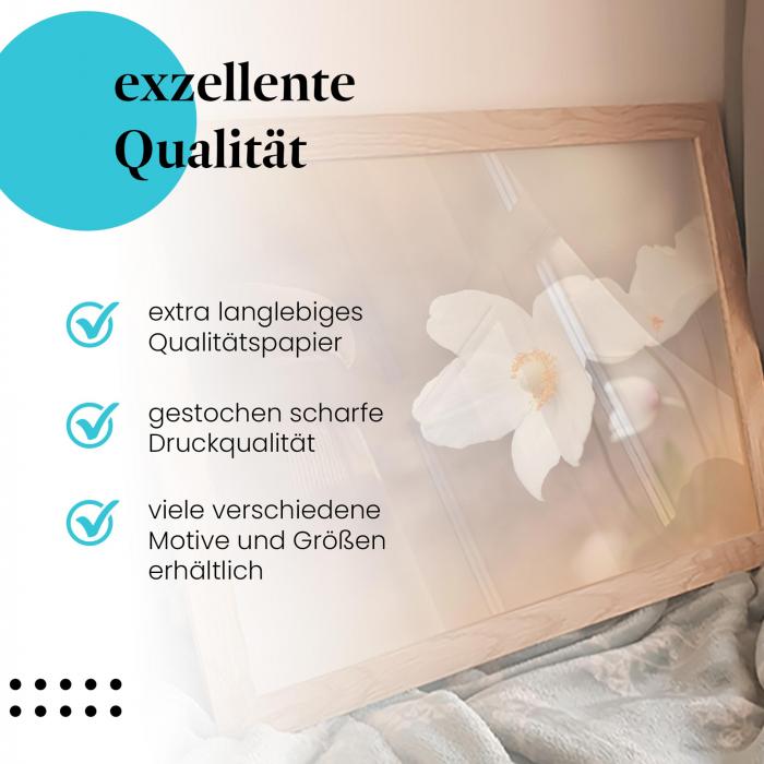 Preview: Anemonen | Postereck 3809